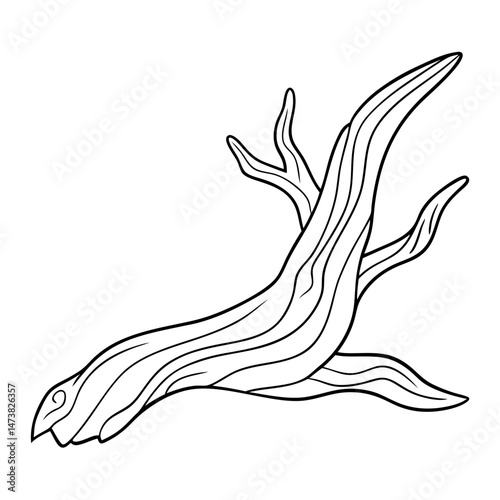 Driftwood Outline for Nature-Themed Coloring Book Page Featuring Coastal and Organic Elements