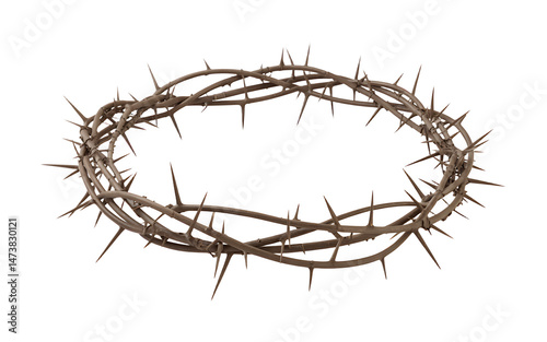 Detailed depiction of a crown of thorns symbolizing the passion and crucifixion of jesus.