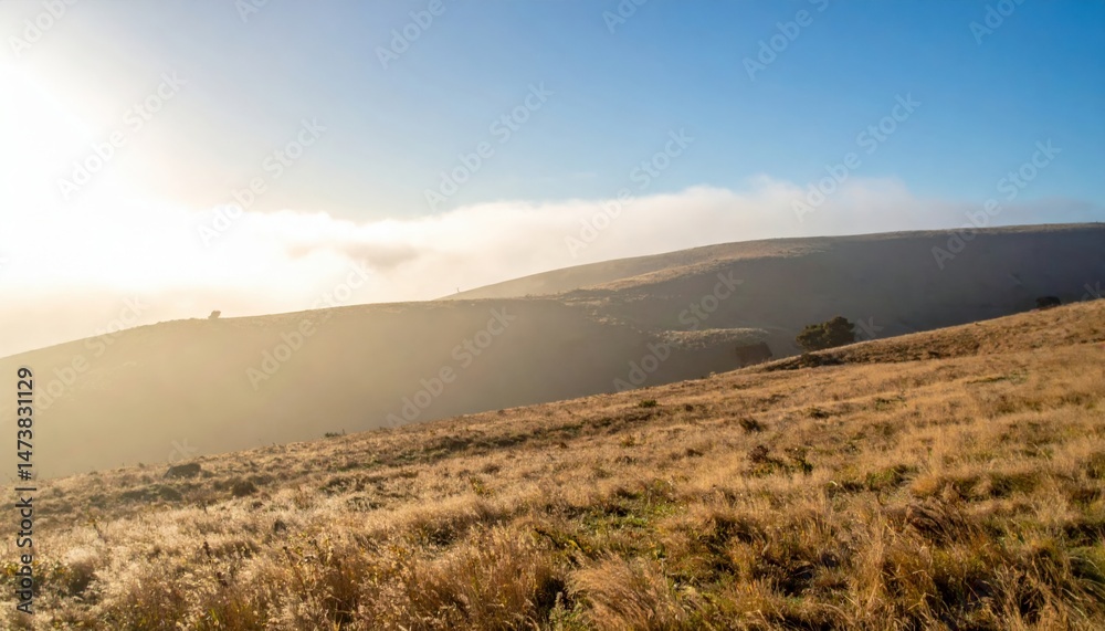 Fototapeta premium Golden sunrise over rolling hills nature landscape photography tranquil environment captivating viewpoint