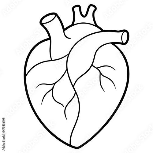 Human Heart Organ Outline Illustration for Anatomy and Biology-Themed Coloring Book Pages