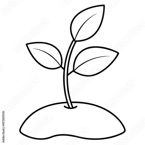 Seedling and Sprout Outline Illustration for Nature and Growth-Themed Coloring Book Pages