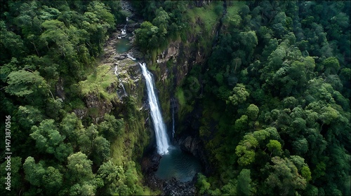 A powerful waterfall cascading through a lush green forest, creating a breathtaking natural spectacle.