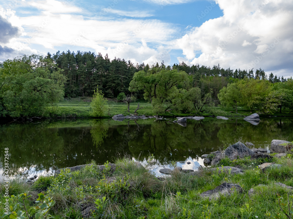 Fototapeta premium A small pond in the middle of a grassy field surrounded by trees