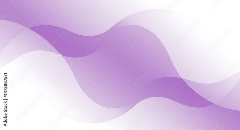 Fototapeta premium Lavender Flow