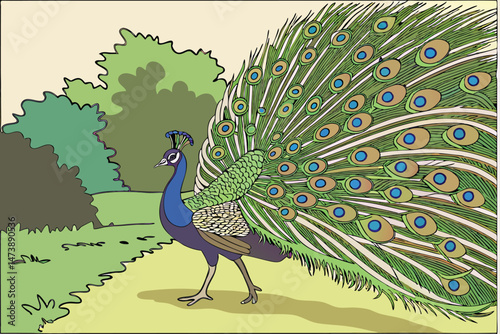 104 a detailed painting of a majestic peacock with vibrant plumage, showing its magnificent tail feathers in full display, hyper-realistic, 8k, highly detailed, extremely sharp focus, award-winning, d