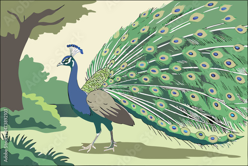 104 a detailed painting of a majestic peacock with vibrant plumage, showing its magnificent tail feathers in full display, hyper-realistic, 8k, highly detailed, extremely sharp focus, award-winning, d