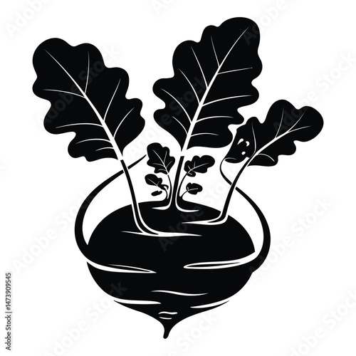 Kohlrabi Purple Silhouette, Vector, Illustration, Icon, Logo, White Background.