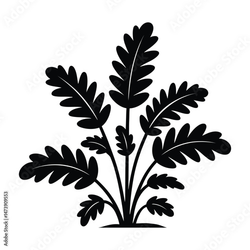 Kalettes Silhouette, Vector, Illustration, Icon, Logo, White Background.