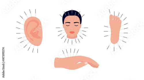 Acupuncture, part of body set with medical needles. Alternative medicine. Body therapy and spa, wellness and acupressure. Vector