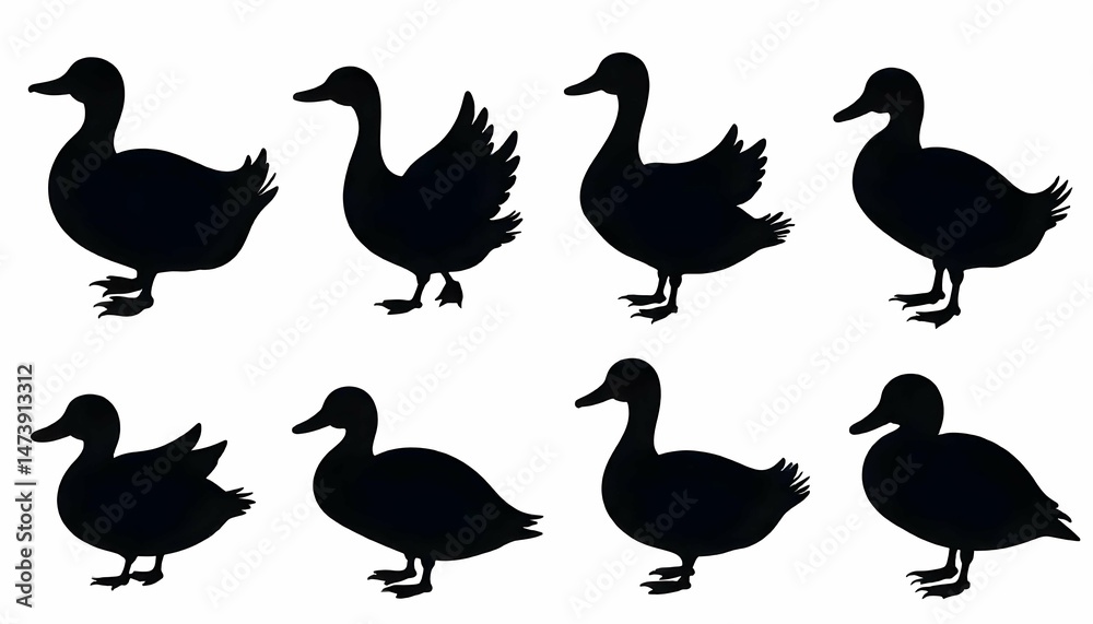 Fototapeta premium A set of duck illustrations in silhouette.