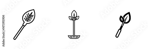 Three vector illustration icons display different leaf designs, highlighting elegant shapes and forms ideal for environmentally focused projects