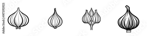 Vector illustration of garlic bulb designs with different shapes and styles for culinary or decorative use