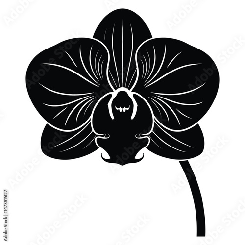 LED-Infused Orchid Silhouette, Vector, Illustration, Icon, Logo, White Background.