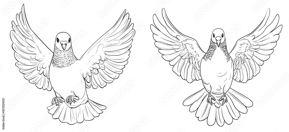 Obraz premium Modern artistic representation of a solitary pigeon resting on a clean white surface