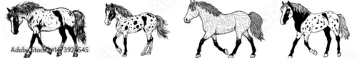 A beautiful horse is depicted in isolation on a white background in this illustration