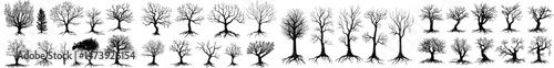 The silhouettes of naked trees stand out amidst black bushes and trucks with bare branches, evoking the imagery of winter or autumn plants with roots