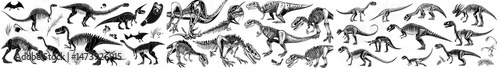 Remnants of ancient reptilian life, such as dinosaur fossils and isolated dino bones, are juxtaposed with modern reptile silhouettes, featuring avaceratops, basilosaurus, stegosaurus, eoraptor,