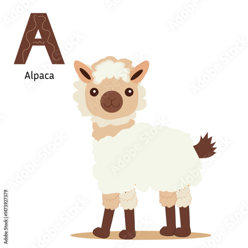 Letter A with cartoon alpaca cute character flat vector illustration,for the design of postcards, books, leaflets,poster, banners, birthday invitations.,