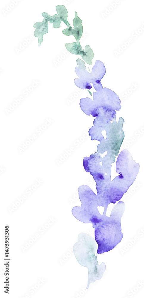 Watercolor light purple wild flower isolated illustration, floral wedding and greeting element