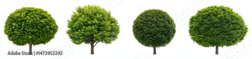 Four spherical green trees against a white background