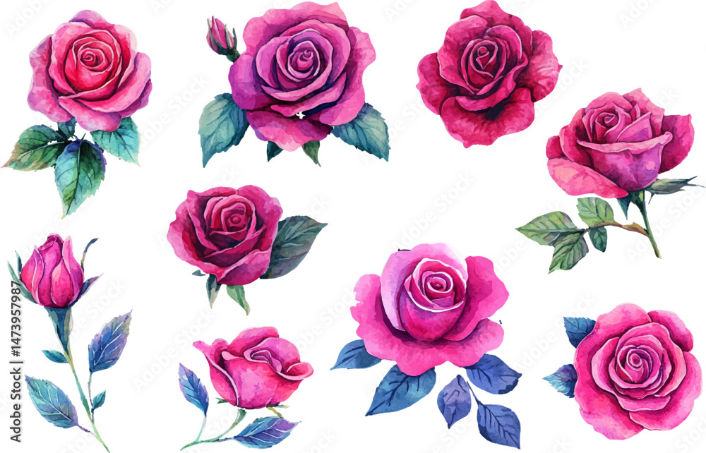 Fototapeta premium Watercolor Pink Rose Flower Illustration – Hand-Painted Floral Art