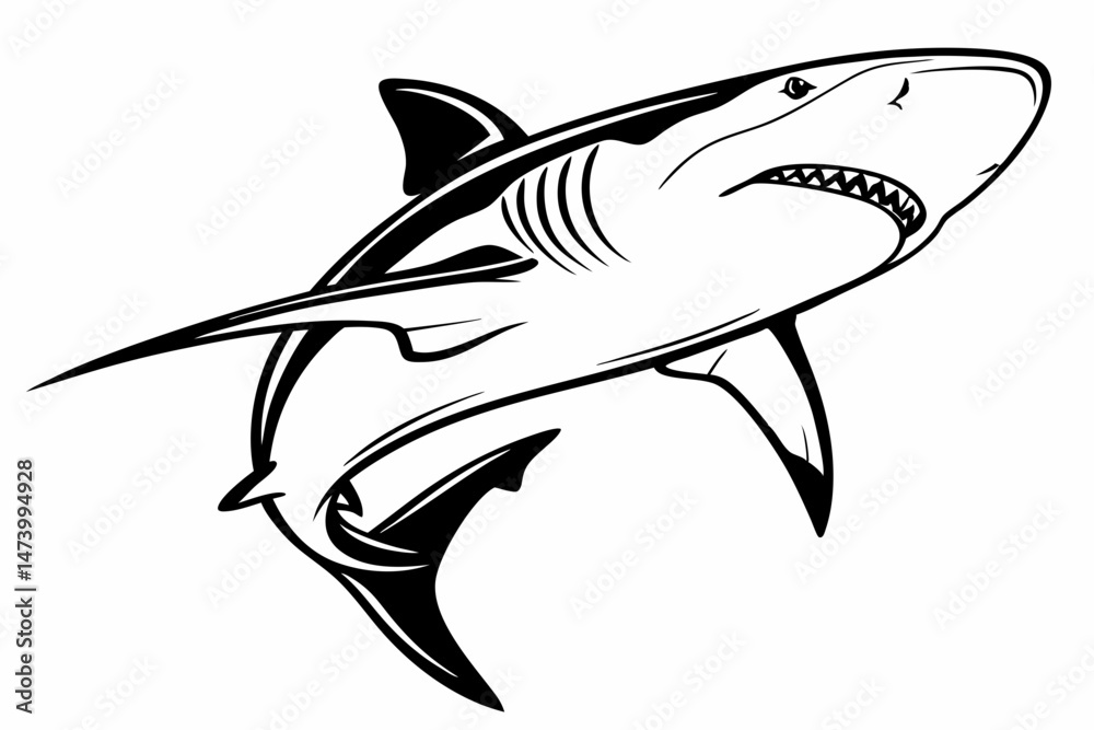 Obraz premium bull shark sihouette black vector