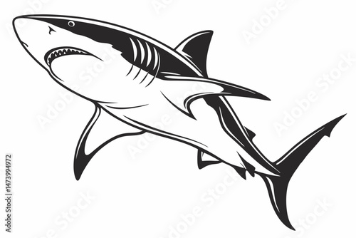 bull shark sihouette black vector