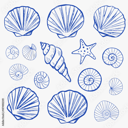 Seamless Seashell Pattern Vector – Ocean & Beach Shell Illustration Design

