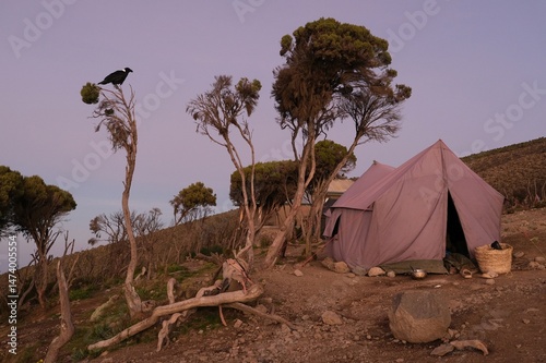 Mweka Camp on Kilimanjaro, Tanzania with tents on camp.