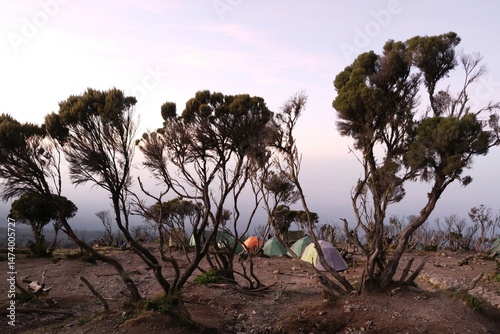 Mweka Camp on Kilimanjaro, Tanzania with tents on camp.