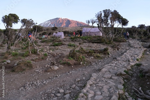 Mweka Camp on Kilimanjaro, Tanzania with tents on camp.