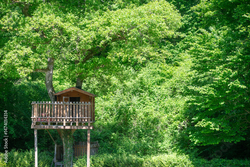 petite cabane en bois sur pilotis en hauteur dans les arbres pour observer la nature