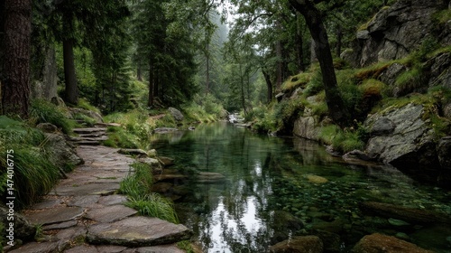 Tranquil forest stream with clear green water and stone path surrounded by lush trees and mossy rocks in peaceful wilderness ideal for nature backgrounds and travel inspiration visuals