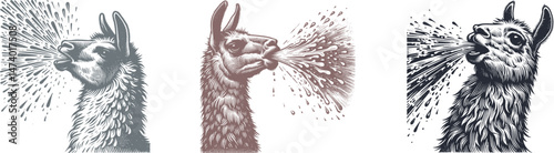 Woodcut Design: Llama Spitting Water with Dramatic Expression – Unique Animal Engraving Art