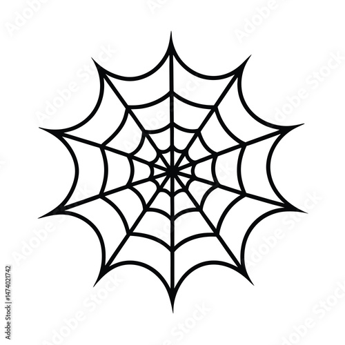 spider and web