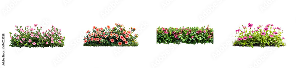 Obraz premium Floral border set, vibrant blossom collection, landscaping element, cut out transparent