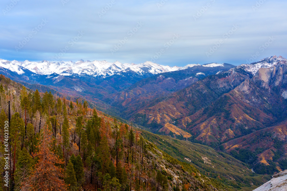 Panoramic View Of Sequoia National Park With Snow-Capped Mountains Panoramic View Of Sequoia National Park With Snow-Capped Mountains