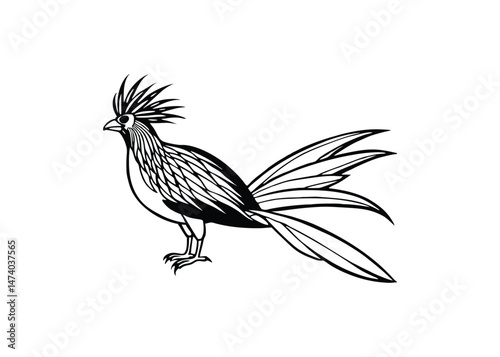 Silhouette of bird of paradise isolated on a white background