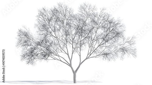 Wallpaper Mural Winter Tree Silhouette: A stark silhouette of a bare tree against a bright backdrop, evoking a sense of winter's quiet beauty. Torontodigital.ca