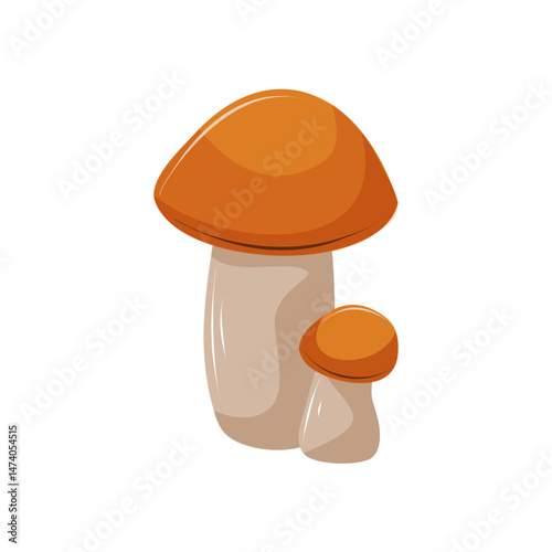 Two edible mushrooms of different sizes on a white background. Forest food. White mushroom, birch bolete. Isolated vector illustration.