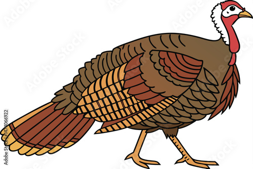 126 brown turkey, colorful feathers, proud posture, close-up portrait, detailed plumage, farm animal, thanksgiving bird, photorealistic, high resolution