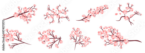 Cherry blossom branches element collection in a flat design