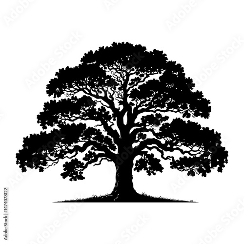 botany tree,silhouette vector file.