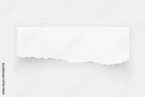 Torn paper edges. Ripped paper texture. Paper tag. White paper sheet for background with clipping path. Close up image.