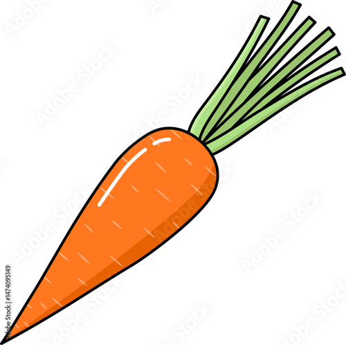 Colorful carrot vector illustration. Carrot transparent PNG. Carrot clip art. Carrot symbol. Carrot vector. Vegetable stock images.