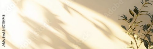 Soft sunlight casts flowing shadows on a pale beige surface, highlighting a small olive branch