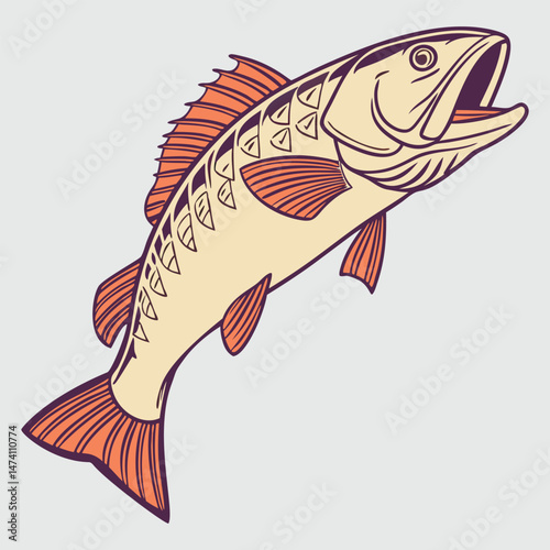 fish vector