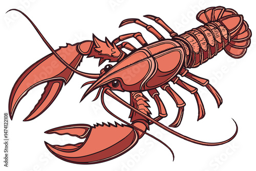 137 cooked lobster, detailed lobster close up, realistic lobster, high resolution, photorealistic, studio lighting, white background