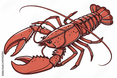137 cooked lobster, detailed lobster close up, realistic lobster, high resolution, photorealistic, studio lighting, white background