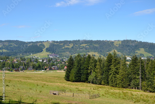 View from the Droga pod Reglami – a hiking, cycling and skiing trail at the foot of the Western Tatras on their northern, Polish side. Summer in Zakopane, Poland